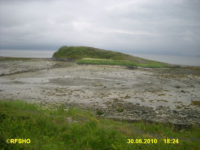 Bruholmen