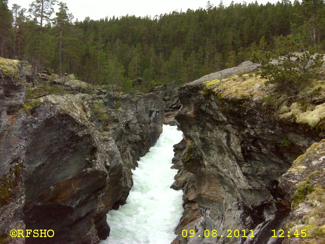 am RV 51 (Riddarspranget)