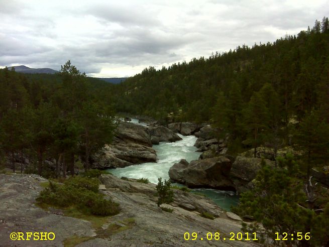 am RV 51 (Riddarspranget)