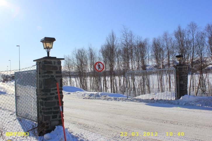 Storskog