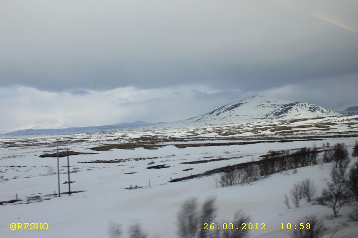 Dovrefjell