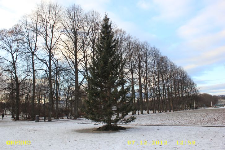 Vigelandsparken