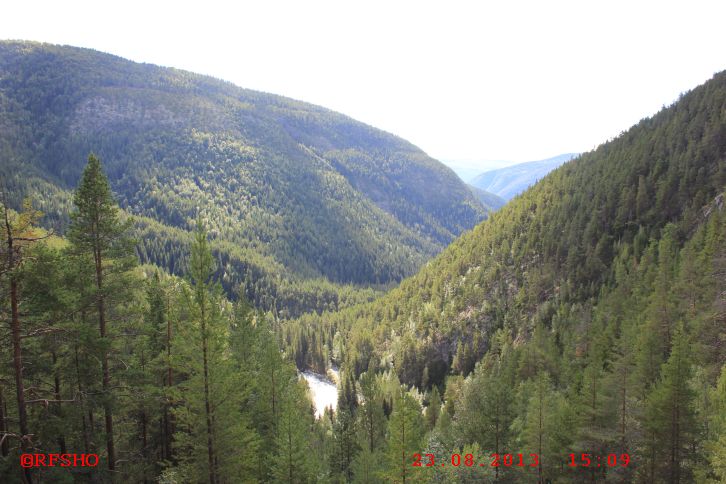 Kvitskriuprestein