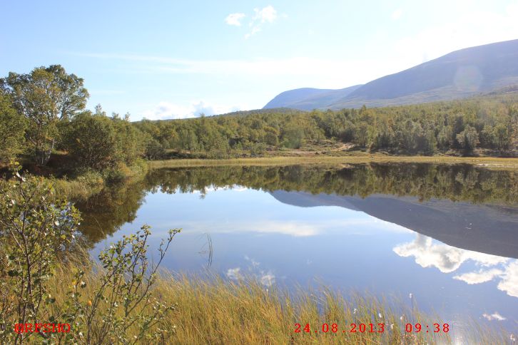 Dovrefjell