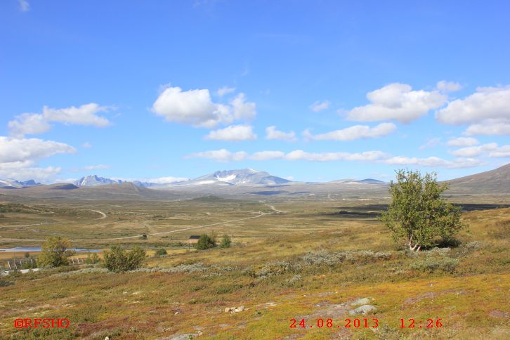 Dovrefjell, Rastplatz an der E 6
