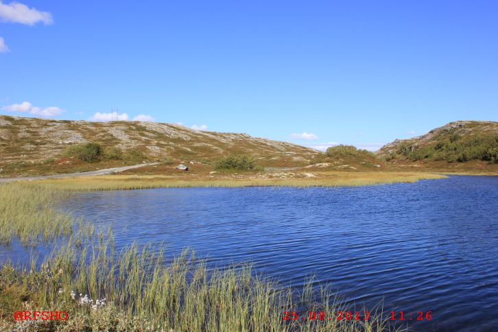 Aursjøvegen