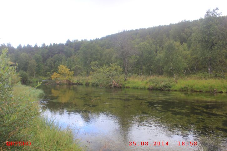 am Rondane Gjestegård, Enden