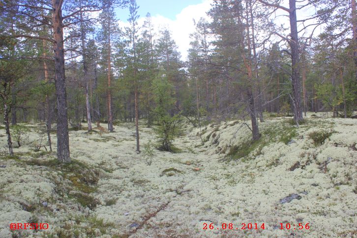 Wanderweg von Straumbu nach Bjørnhollia
