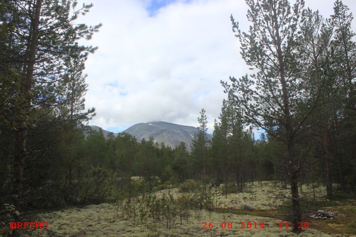 Wanderweg von Straumbu nach Bjørnhollia