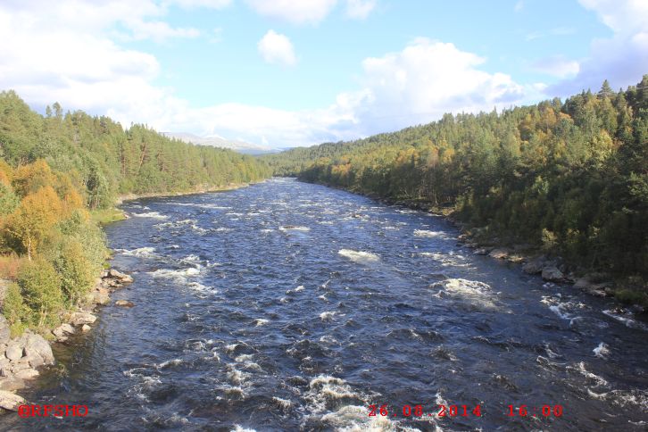 alte Brücke bei Tolga am RV 30