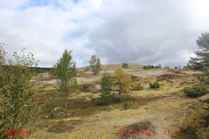 Røros, Kvitsanden