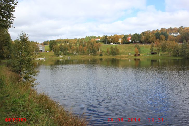 Røros, Kvitsanden