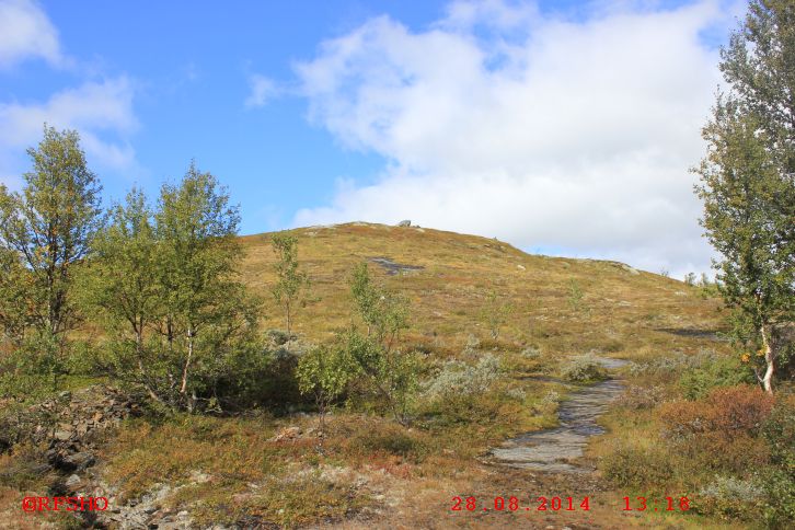 Olavsgruva