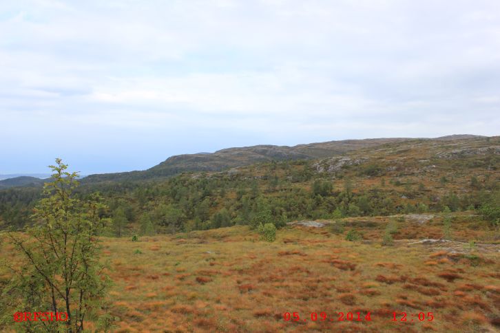 Varden