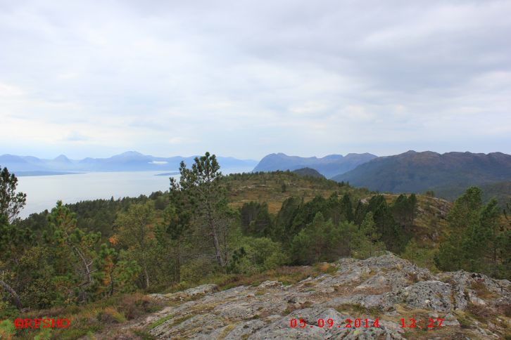 Varden