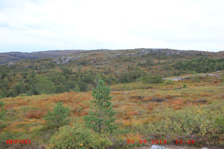 Varden