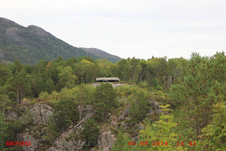 Küstenfort Julneset