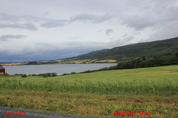Lekdalsvatnet (FV 710)