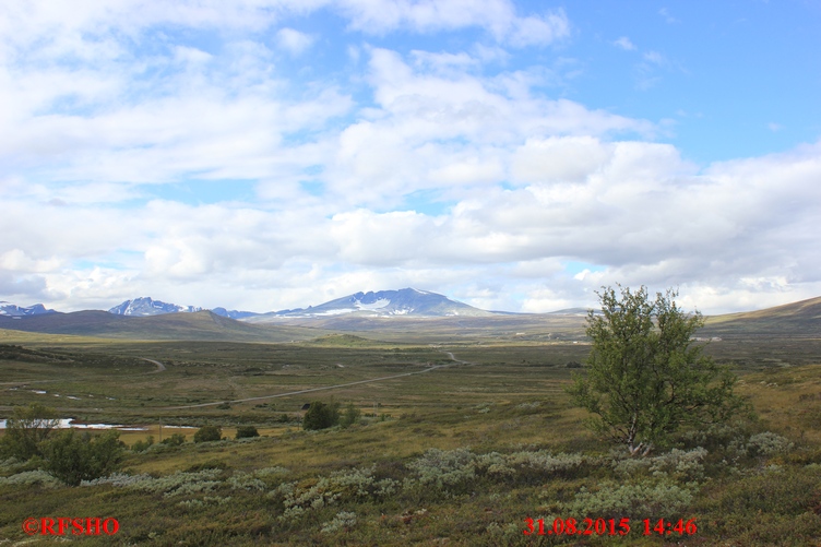Dovrefjell