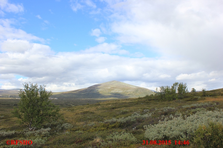 Dovrefjell