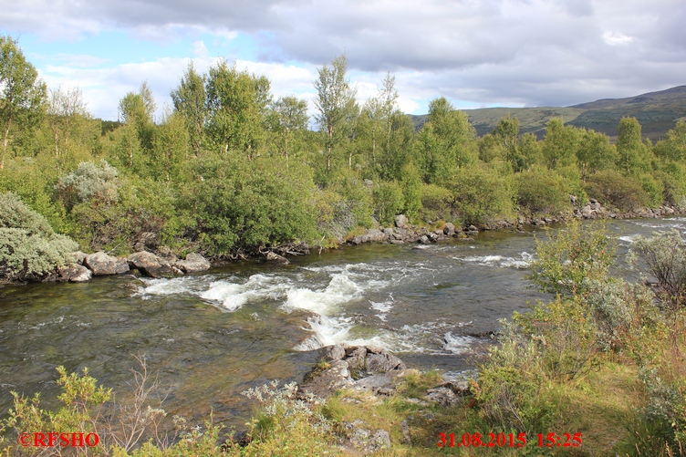 Dovrefjell