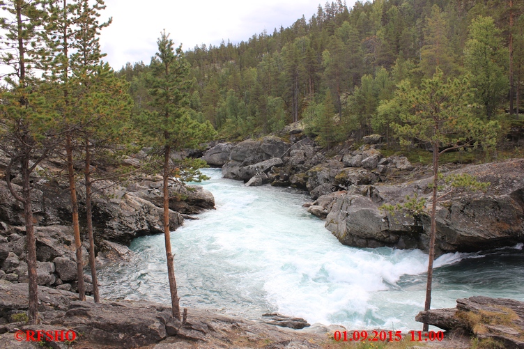 Ridderspranget