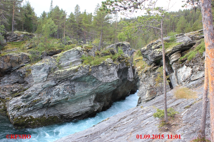 Ridderspranget
