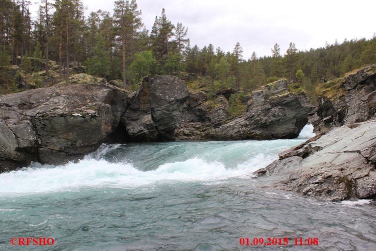 Ridderspranget