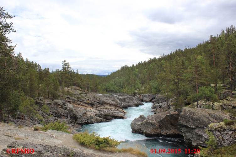 Ridderspranget