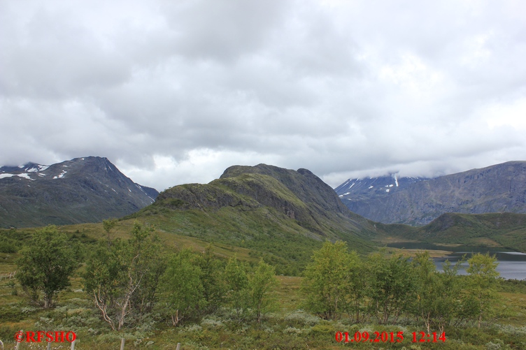 Knutshøe am FV 51