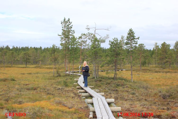 Wanderung zum Santa Claus Forest