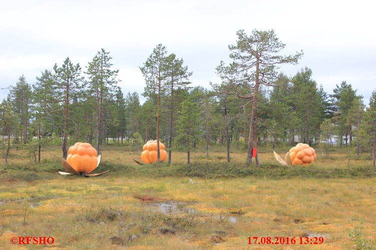 Wanderung zum Santa Claus Forest
