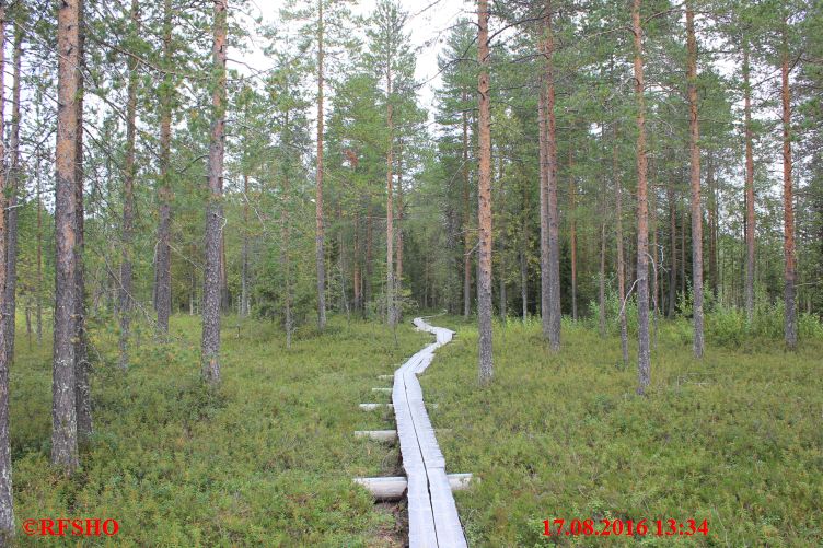 Wanderung zum Santa Claus Forest