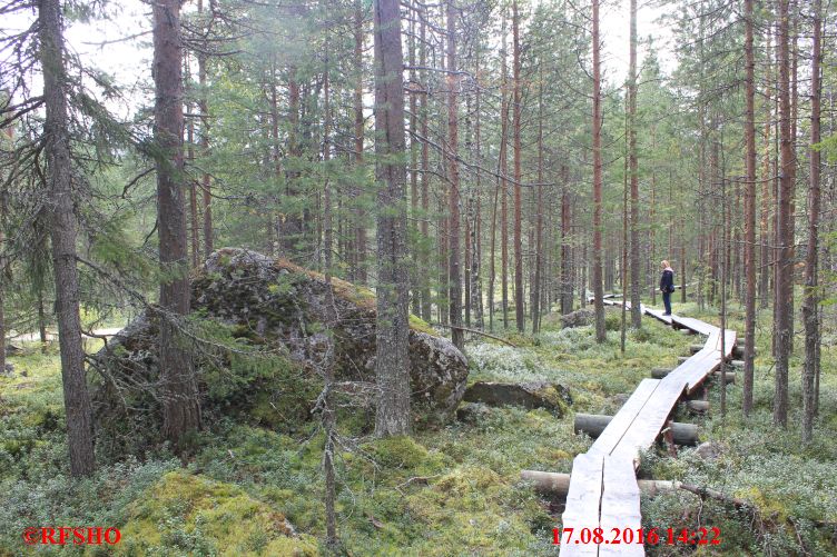 Wanderung zum Santa Claus Forest