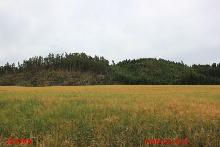 Falstad, St. Olavsleden