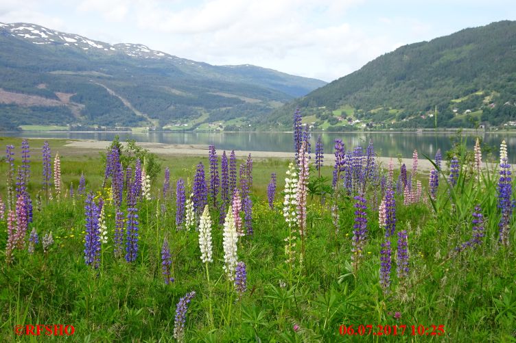 Vangsvatnet