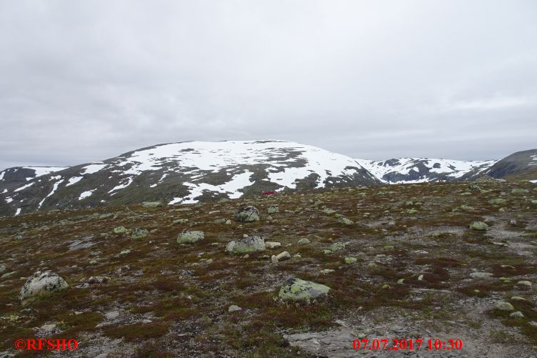 Snøvegen (Fv243)