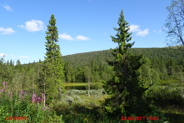 Tronsjøen am RV 30