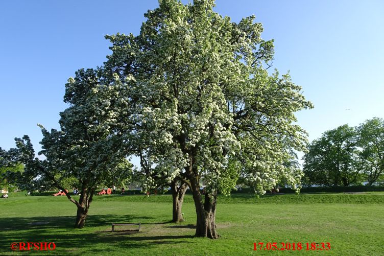 Akerhus Festning