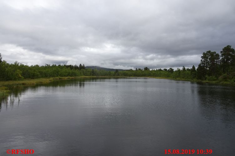 Torneträsk