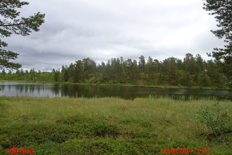 Torneträsk