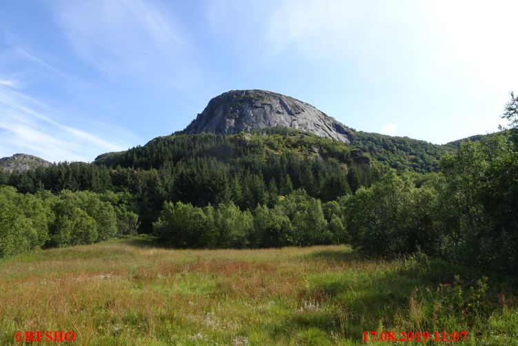 Digermulen