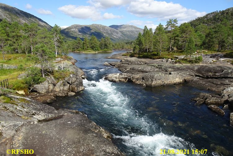 Gaula