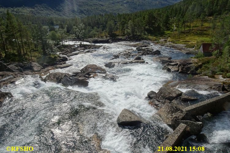 Gaula