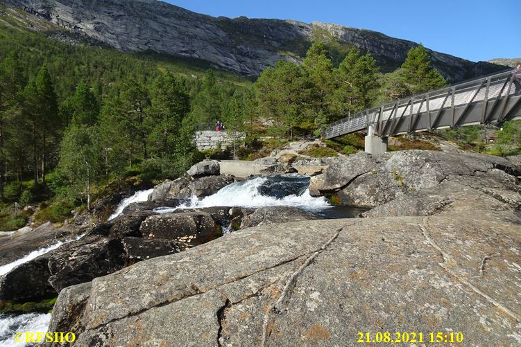 Gaula