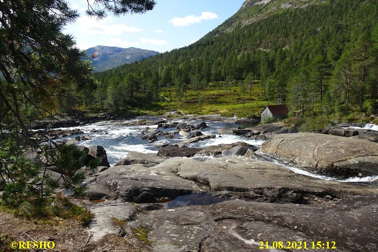 Gaula