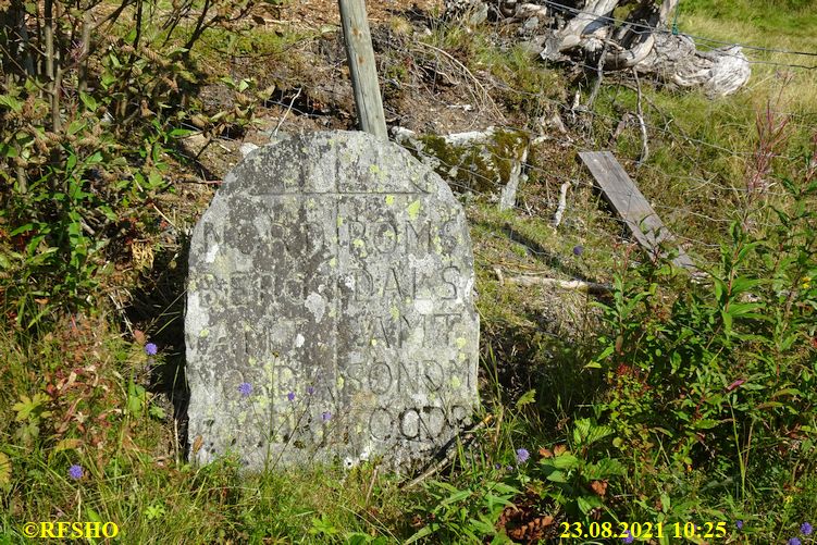 an der 60