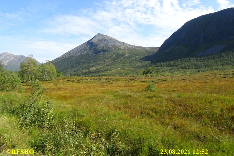 Ørskogfjellet