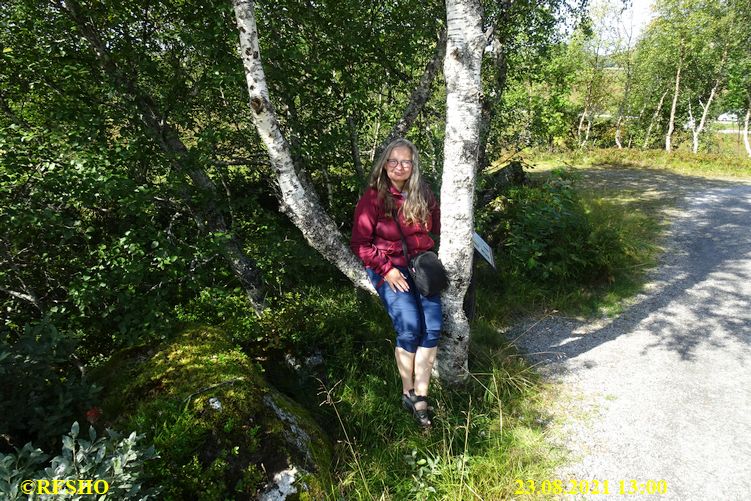 Ørskogfjellet
