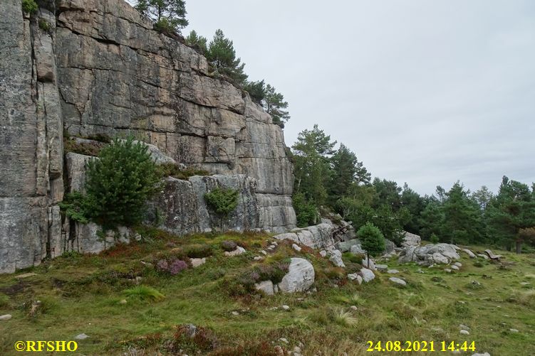 Bremsneshola